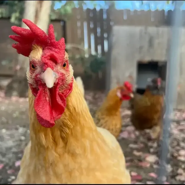 Happy Hauling Crew photo 3