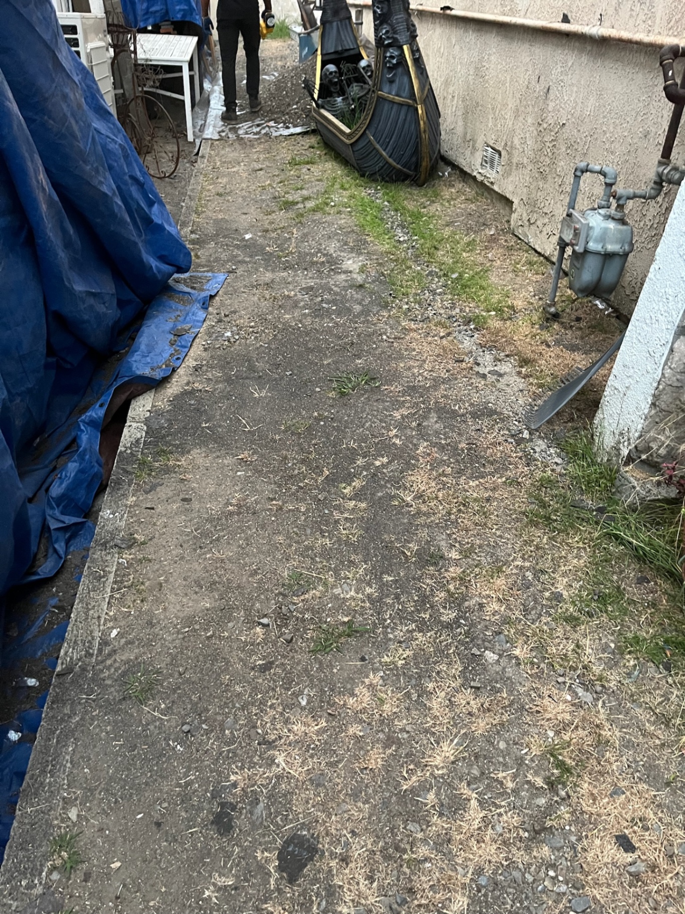 Yard Debris Removal in Orange County After a Storm